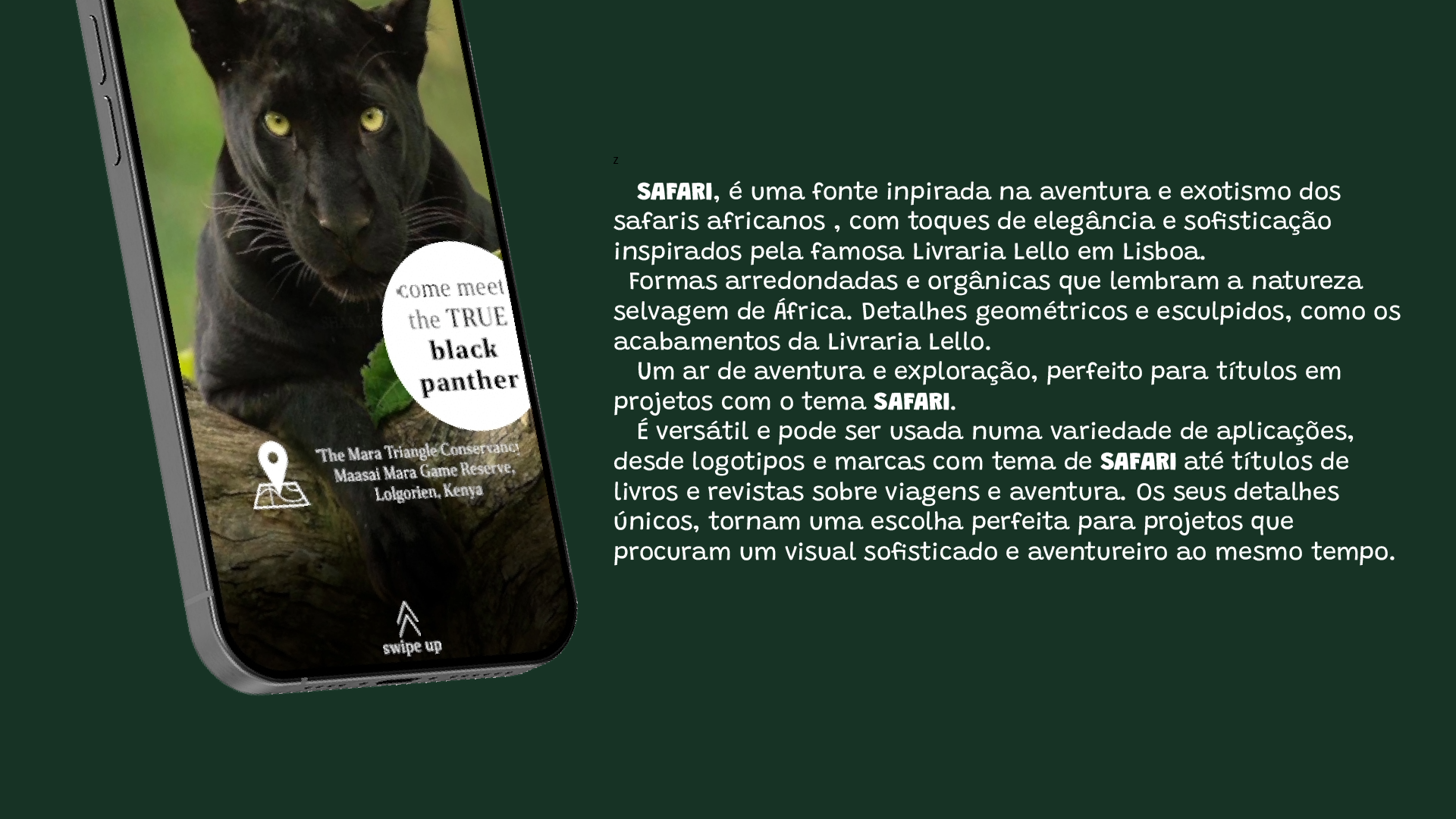 Projeto 1 - Imagem 3